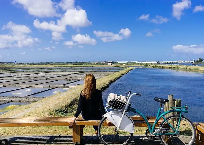 Sun, Pool And Esmoriz