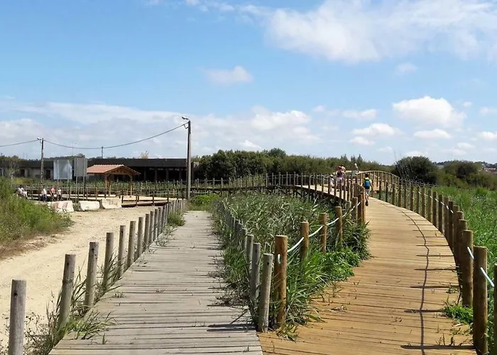 Sun, Pool And דירה